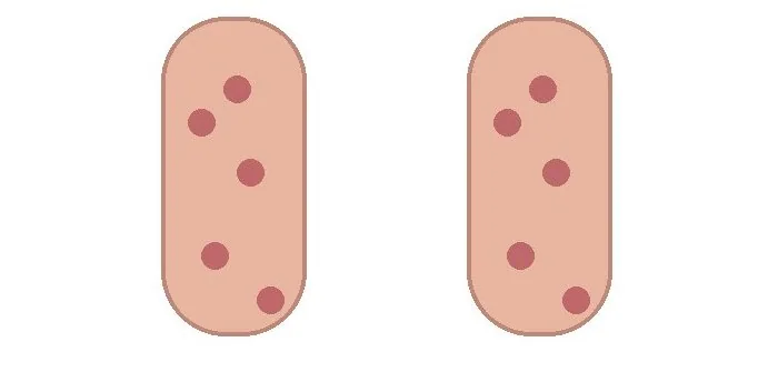 Non-genital educational medical schematic: Skin and palms